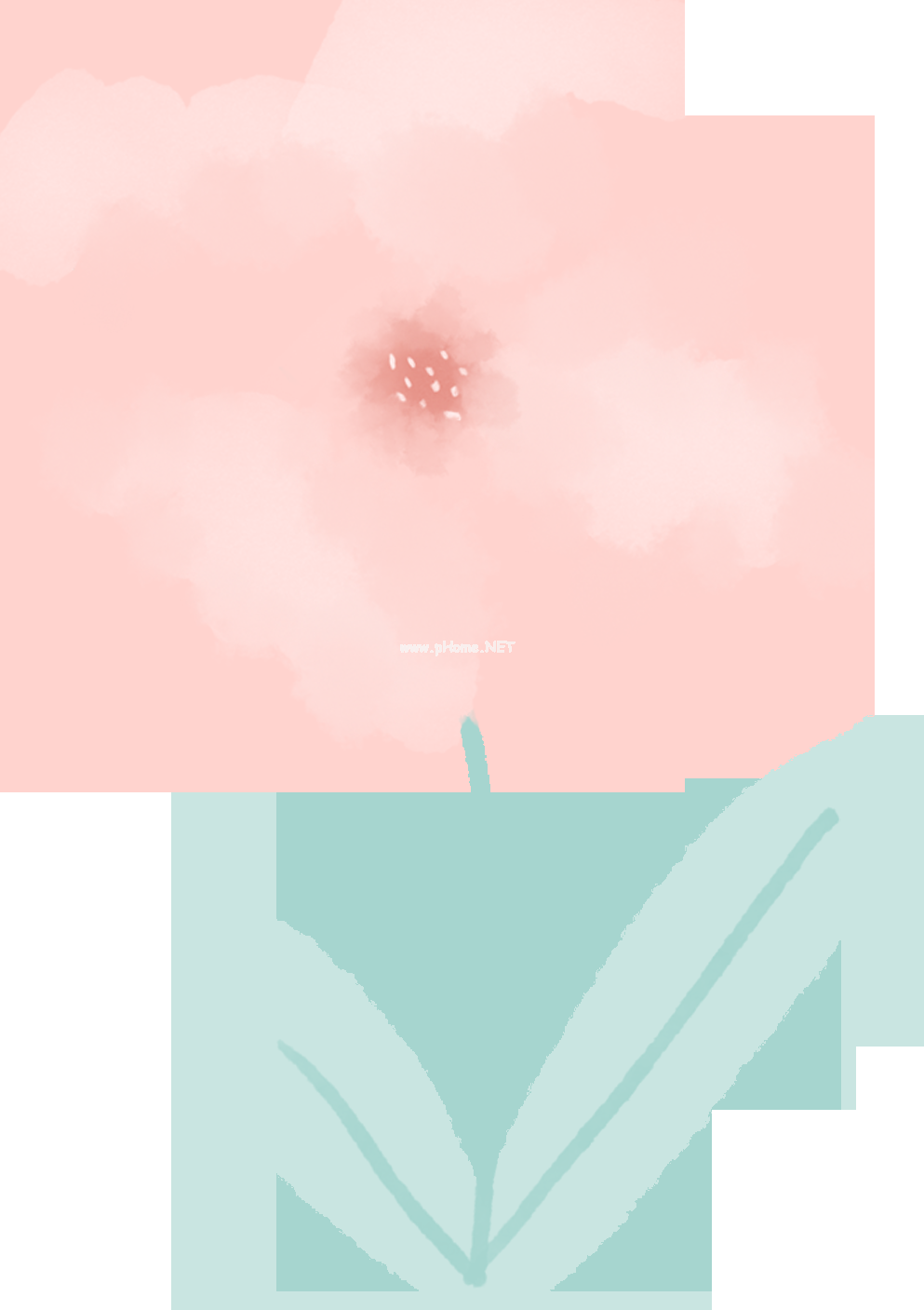 夏日无花果，健肠解毒好帮手