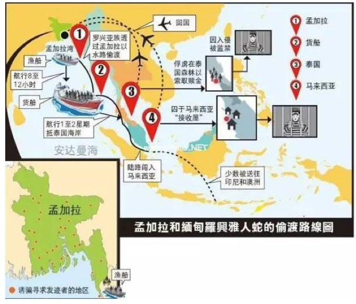 人体器官走私黑幕