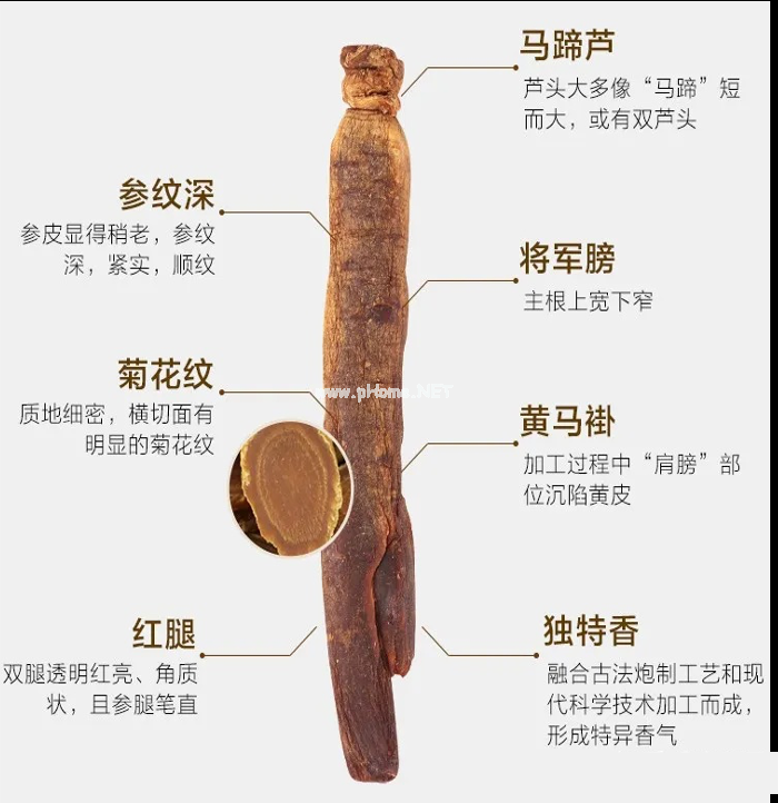 人参“防入坑手册”
