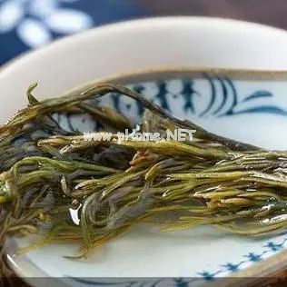 踏青寻宝，可识“草中黄金”？