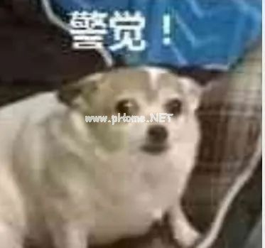 孩子身上长瘊子，竟是感染了HPV？