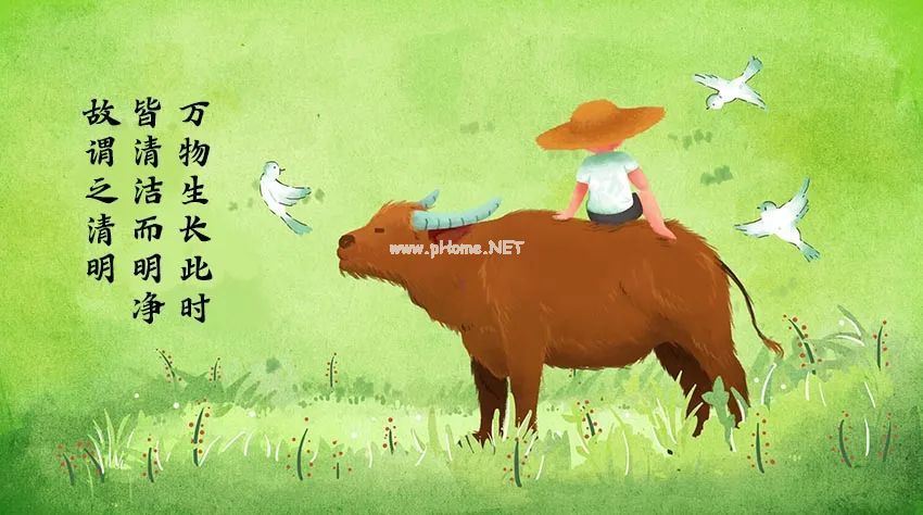 清明|身清、心明，需要蔬菜能量的加持！