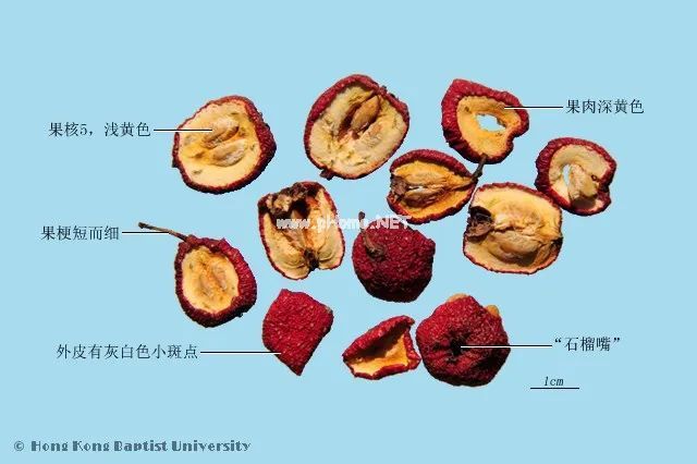 山楂六大功效，一次给你列清楚了