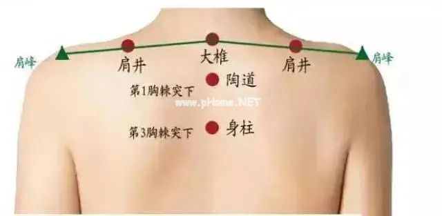 春季是感冒高发期，这样帮孩子预防！