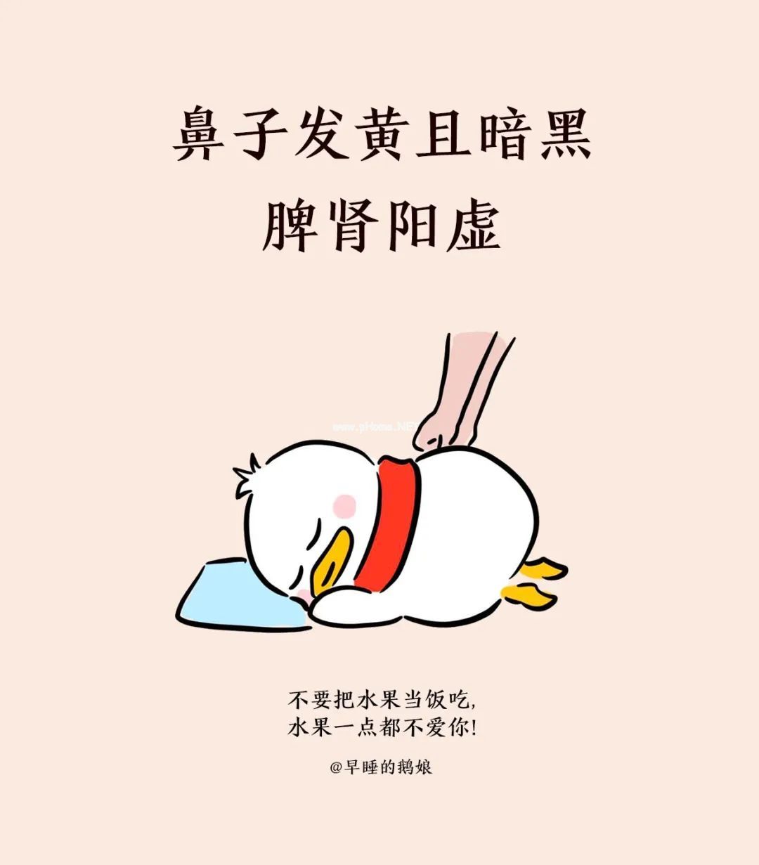 鼻子，在偷偷告诉我们什么？