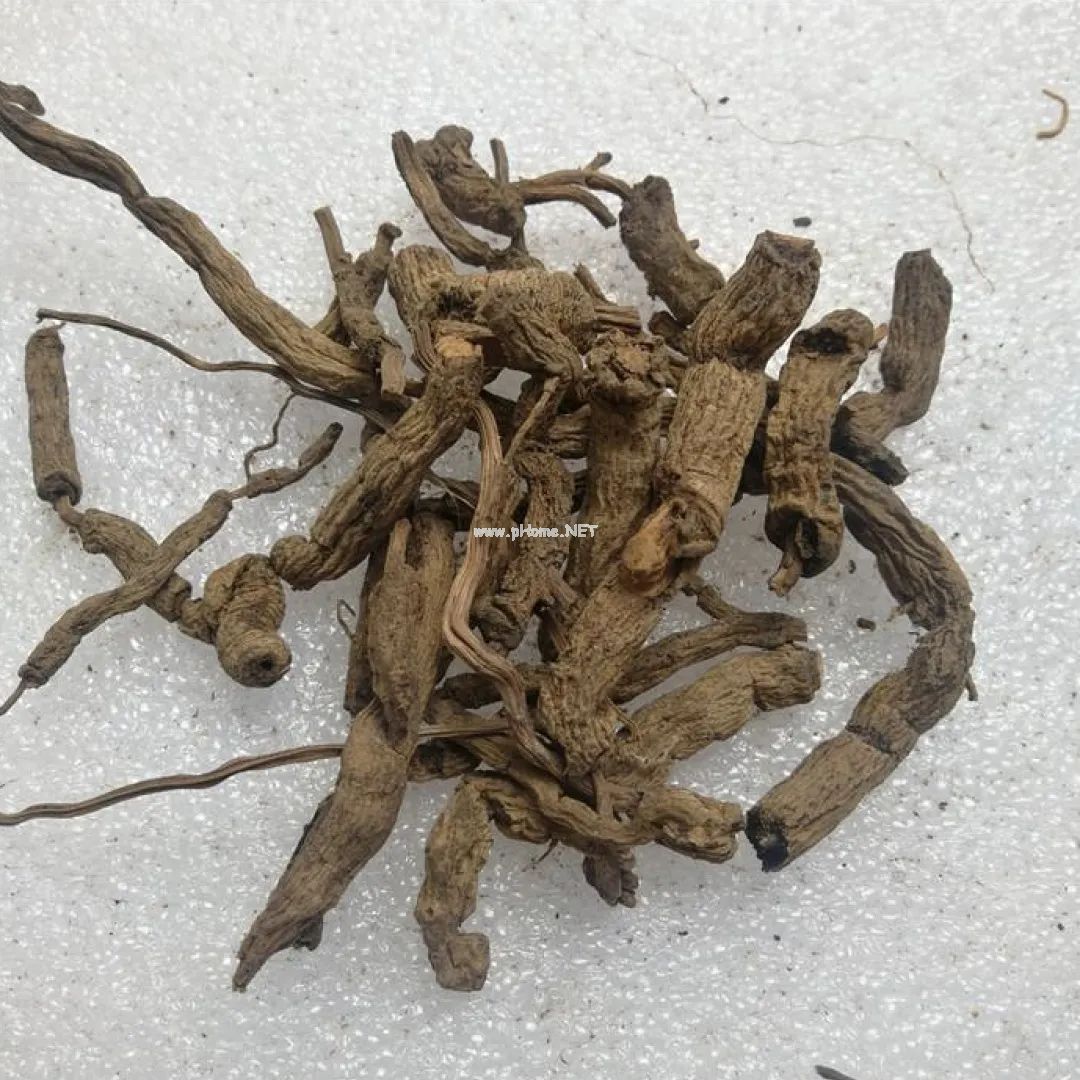 虎年，这些带“虎”的中药你可知晓