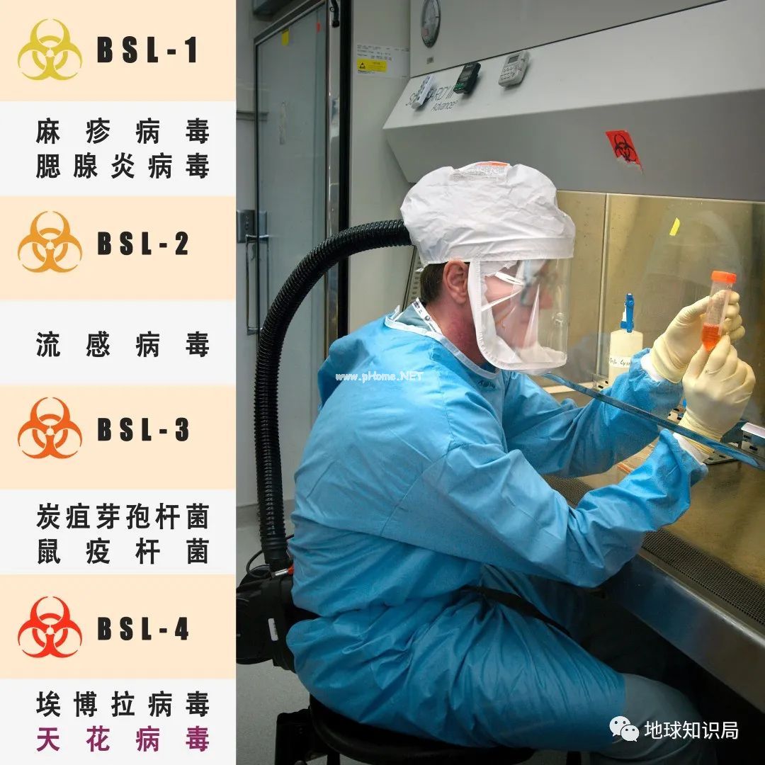 早就被人类消灭的天花，又出现了……