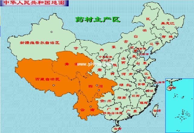 贝母家族兄弟多，长房“川贝”如何认？