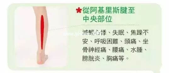 中医：凡是得癌者，都是小腿经络不通！