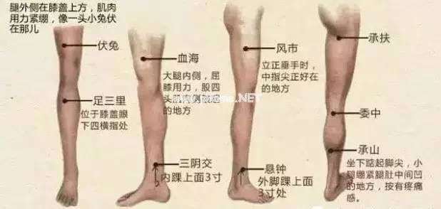 腿诊：人病腿先知，从腿部预测身体疾病！