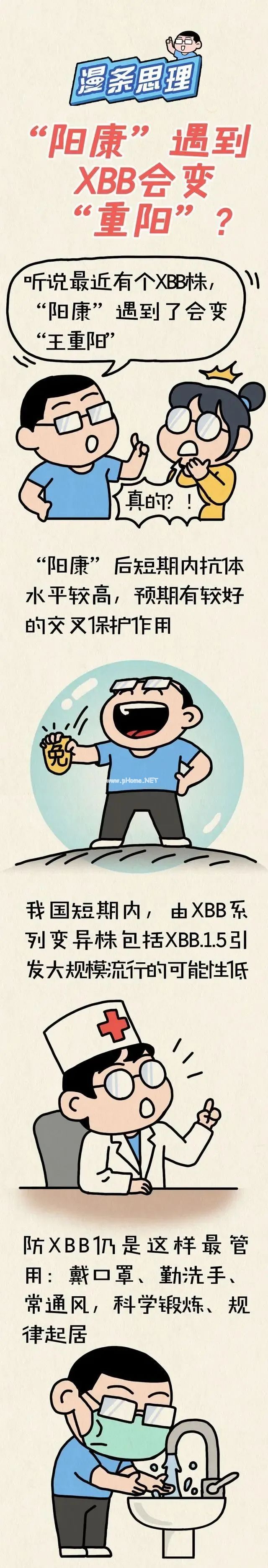 阳康遇到XBB会重阳?一图读懂