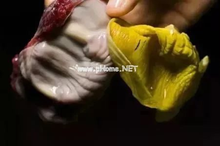 这7种被你当作“垃圾”的东西其实都是保健的“小能手”
