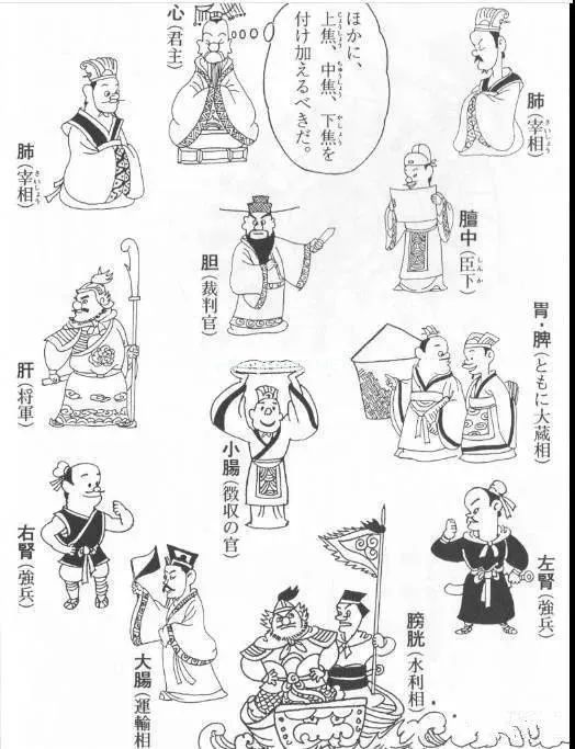 图解中医，33条帮你更好地了解中医思维！