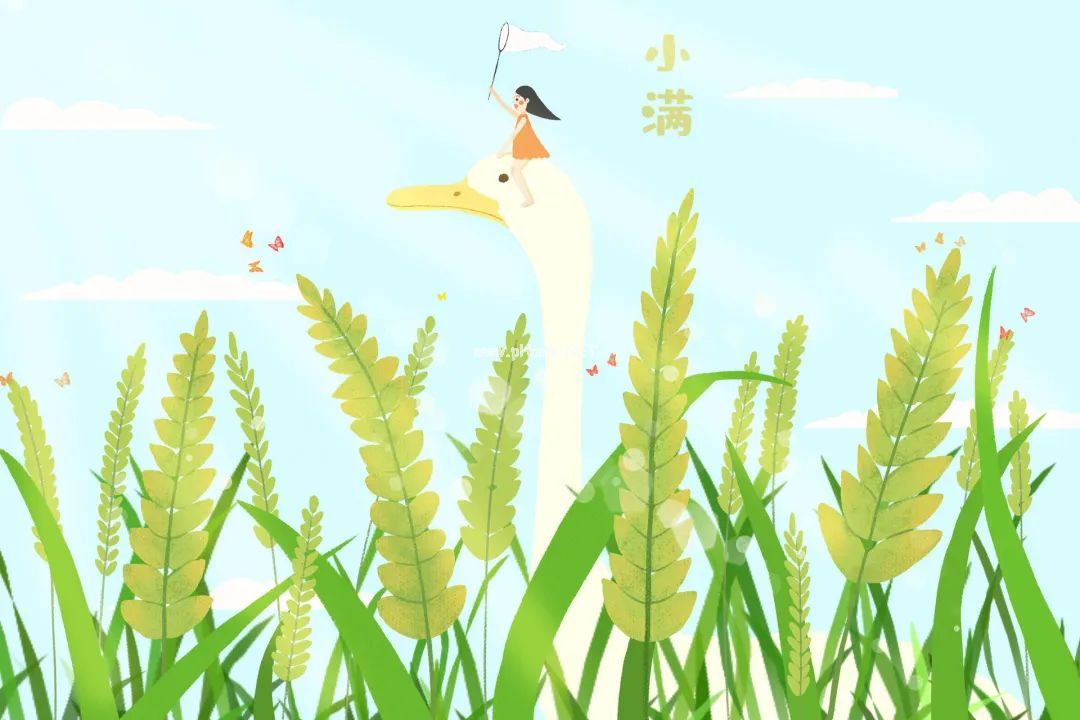 小满后，祛湿热、补津液，守护脾胃！