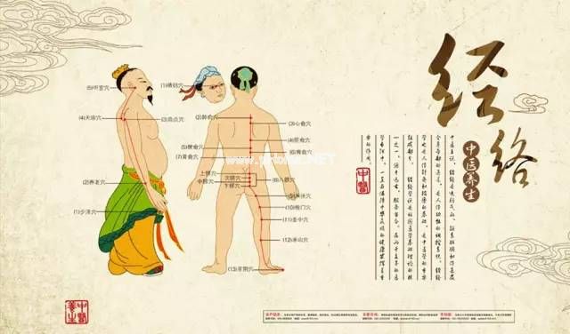 十二经络走向动画图「价值连城」