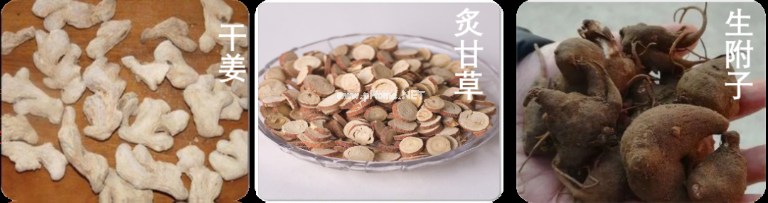四逆汤和四逆散，可不止一字之差！！！