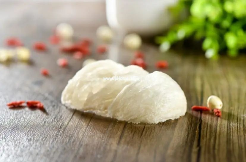燕子的唾液分泌物——燕窝