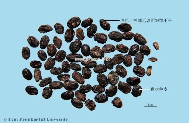 中药处方可以在外地配药吗？
