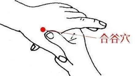 找准“回阳九穴”，自然每天阳气十足、百病难侵！