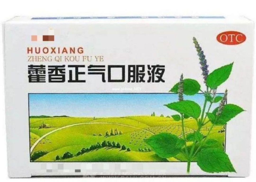 广藿香——芳香化湿正当时