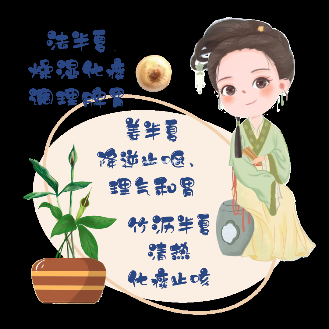 夏已至——藏在节气里的中药