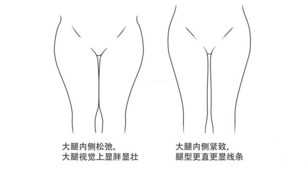 大腿内侧的肉，为什么总是「松」的？