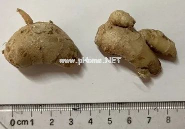 让人食欲大开的中药