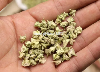 治好眼干眼痒，仅需两味药
