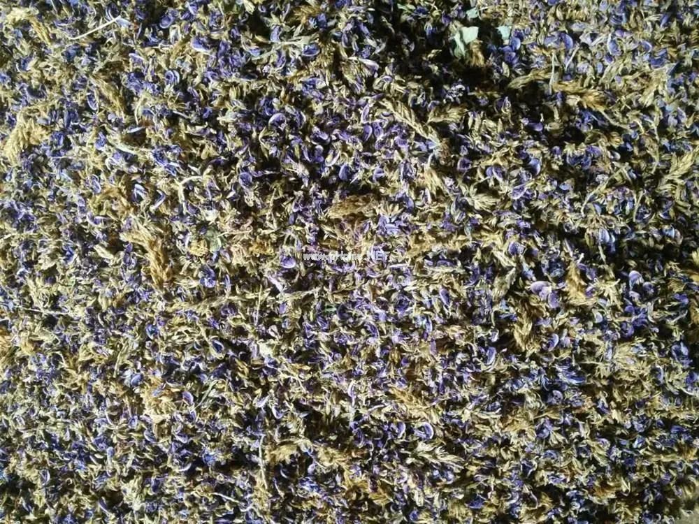 快过年了，你不可不知的几味解酒中药，建议收藏