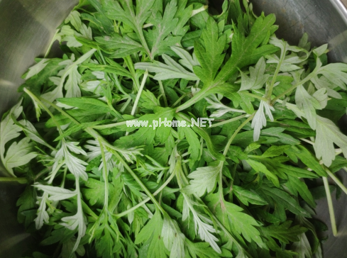 我有艾草青青，艾香悠悠妙用多