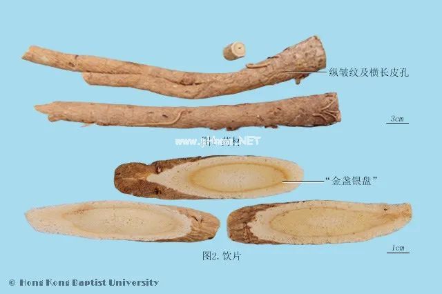 浙江桐庐成为无癌村的秘密法宝竟然是它