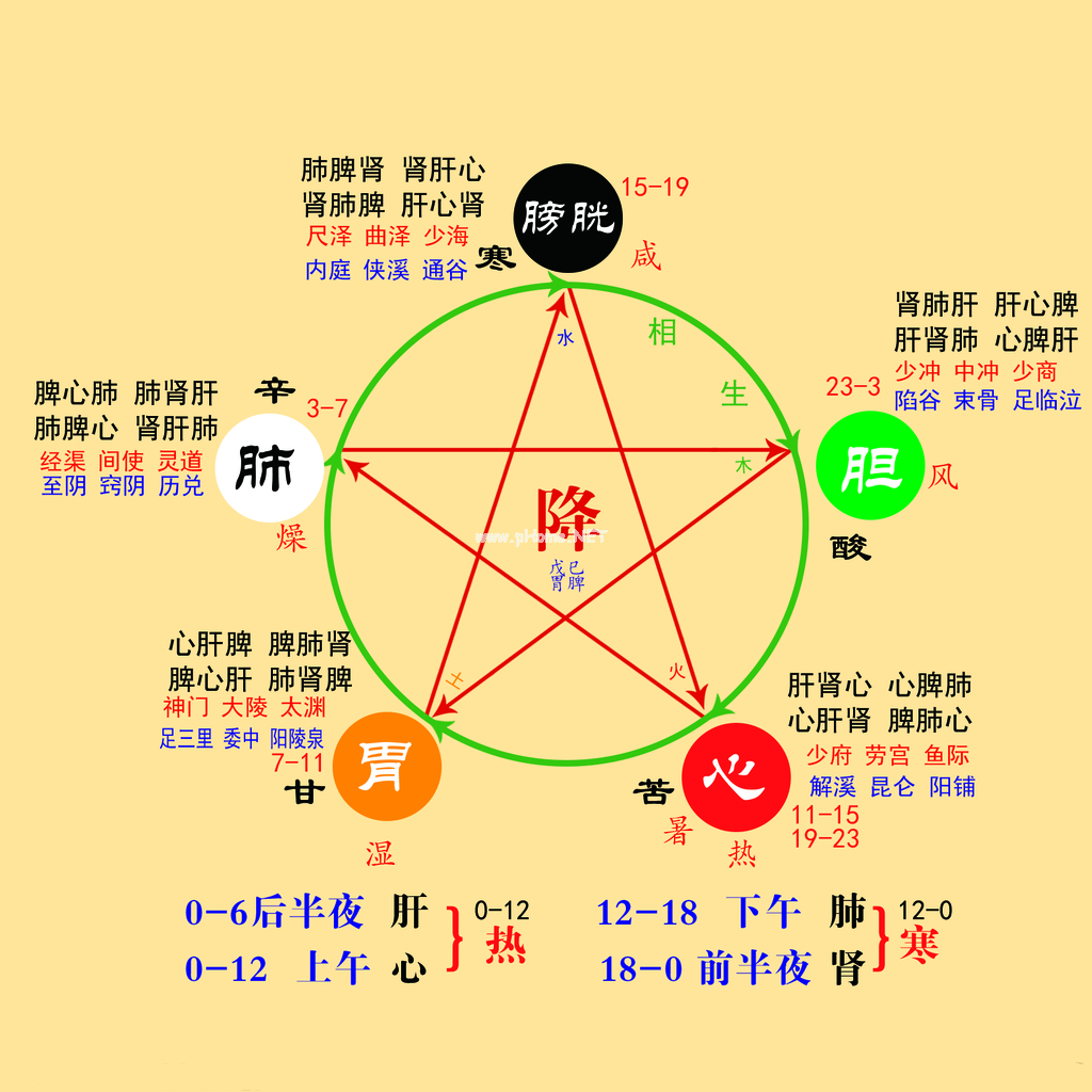 用中医思维来理解，中医的“五行”！