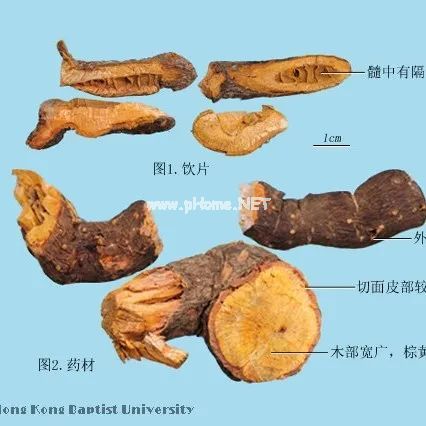 虎年，这些带“虎”的中药你可知晓