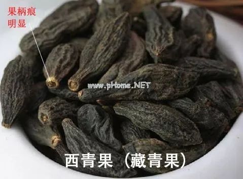 古老的西域舶来之药——诃子