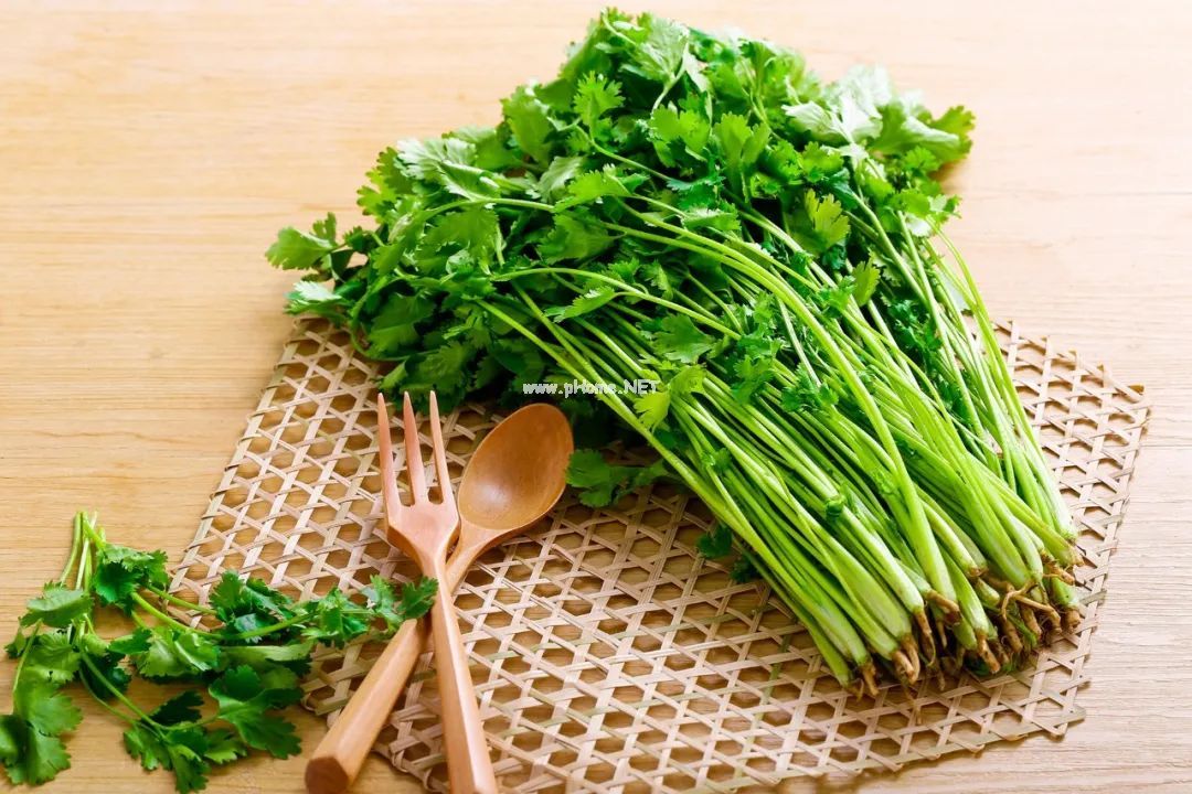香菜，是菜也是药，原来还有这些作用！