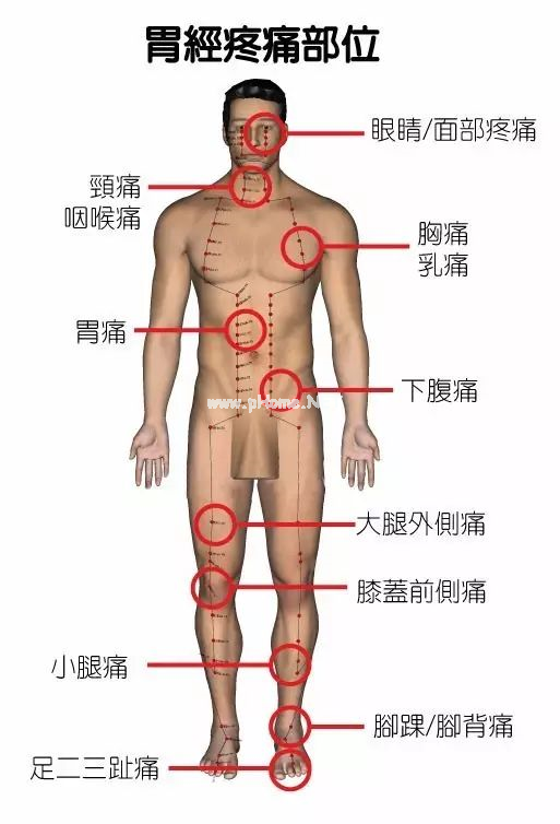 最全身体疼痛对照表，看看你到底是哪儿堵了？