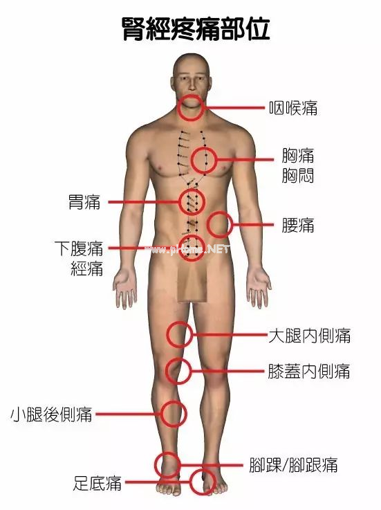 最全身体疼痛对照表，看看你到底是哪儿堵了？