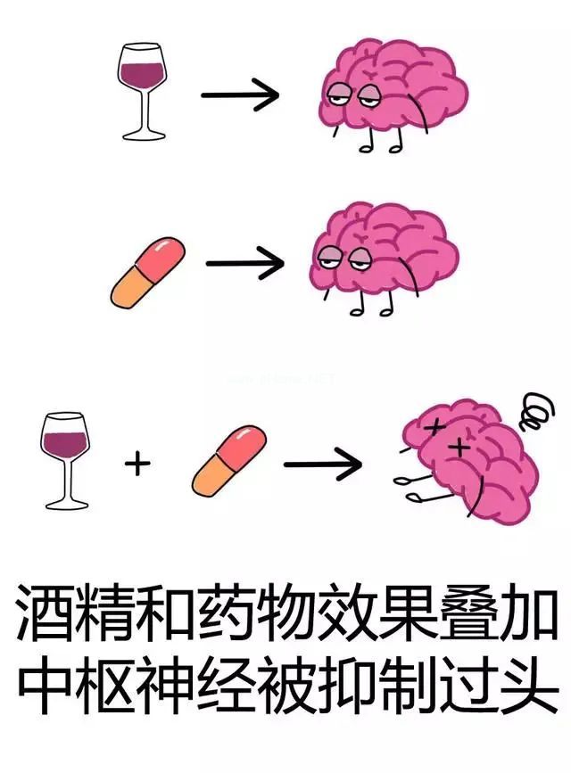 吃了头孢，喝酒会猝死？忌酒的常见药物，不止头孢！