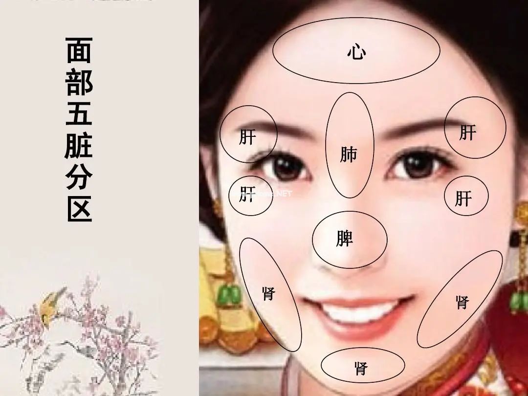 手诊、面诊、眼诊、嘴诊【收藏学习】