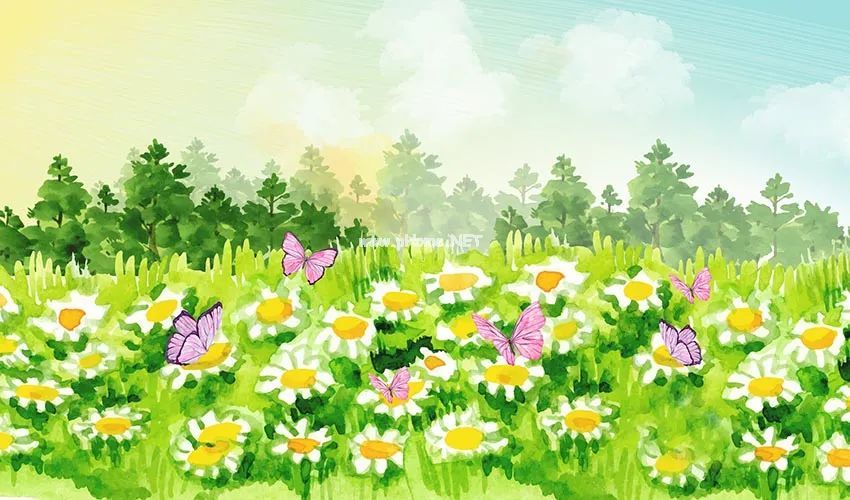 春天里，守护孩子的蔬菜们！