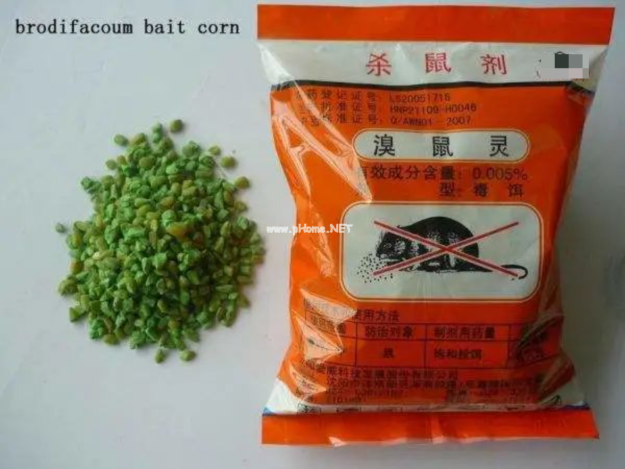 蹊跷的出血：女童全身针尖样瘀点+瘀斑，究竟为何？