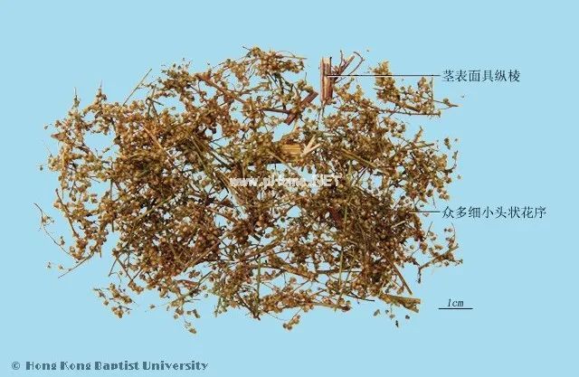 中药处方可以在外地配药吗？