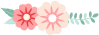 防疫期间室内空气怎么消毒？中医有妙招
