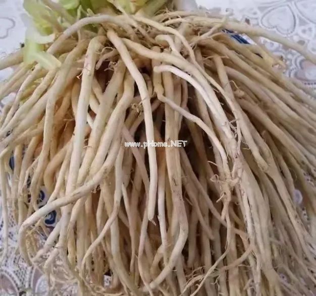 这味蔬菜被称为“壮阳草”，最适合春天吃