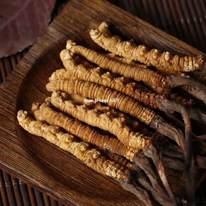 这几款中药，是预防秋燥症的良药