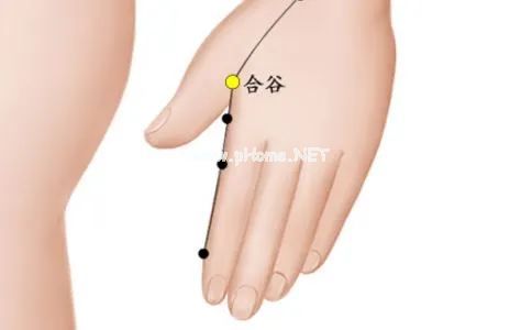 1分钟教你观舌术，附解决方法
