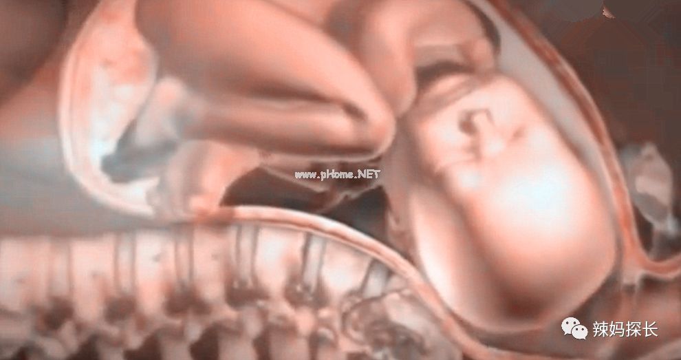 产后的2小时，产妇体内会发生啥变化？看完3D图，心疼女性