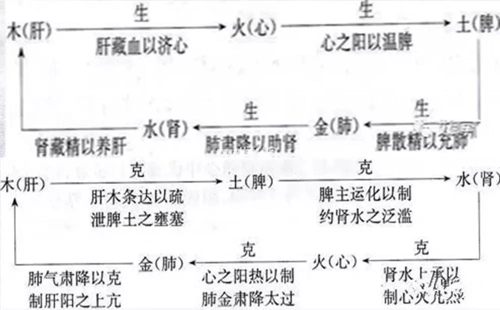 图解中医，33条帮你更好地了解中医思维！