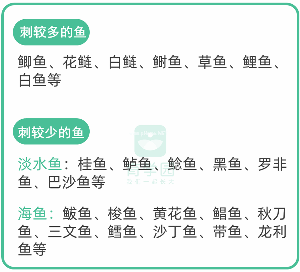 孩子吃鱼更聪明？这4种鱼一口都别多吃！