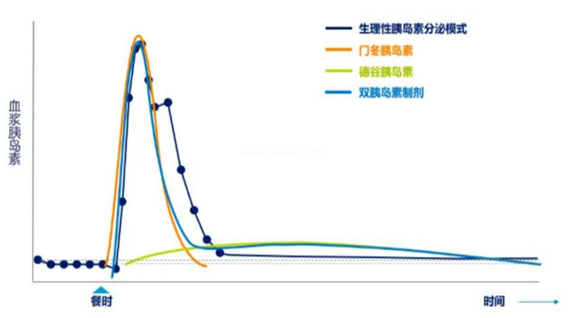 【每日一药】降糖药——德谷门冬双胰岛素注射液片